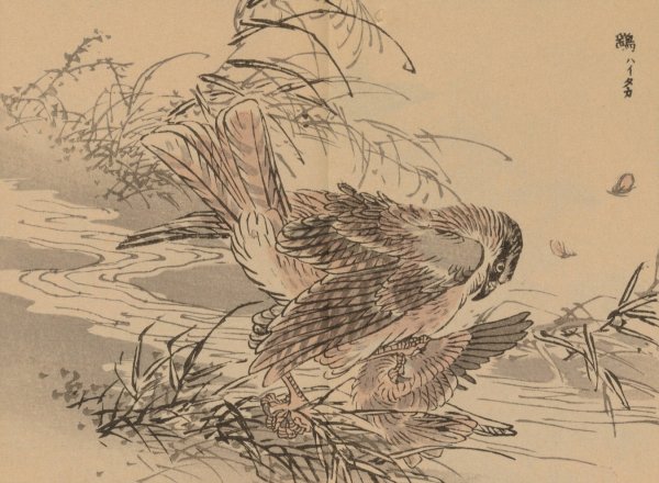 Bairei gafu, Pl.46  by Kono Bairei - Hand-Painted Oil Painting Reproduction