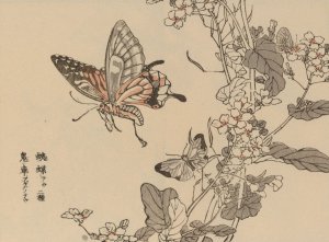 Bairei gafu, Pl.51 by Kono Bairei Oil Painting