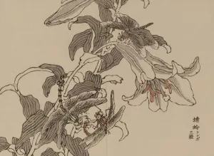 Bairei gafu, Pl.52 by Kono Bairei Oil Painting
