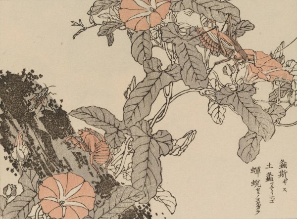 Bairei gafu, Pl.54  by Kono Bairei - Hand-Painted Oil Painting Reproduction