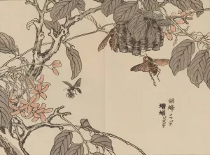 Bairei gafu, Pl.55 by Kono Bairei Oil Painting