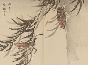 Bairei gafu, Pl.58 by Kono Bairei Oil Painting