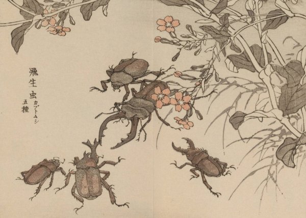 Bairei gafu, Pl.64  by Kono Bairei - Hand-Painted Oil Painting Reproduction