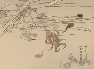 Bairei gafu, Pl.67 by Kono Bairei Oil Painting