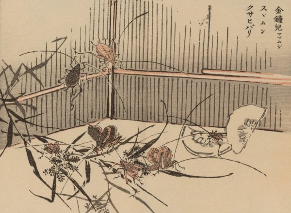 Bairei gafu, Pl.70  by Kono Bairei - Hand-Painted Oil Painting Reproduction