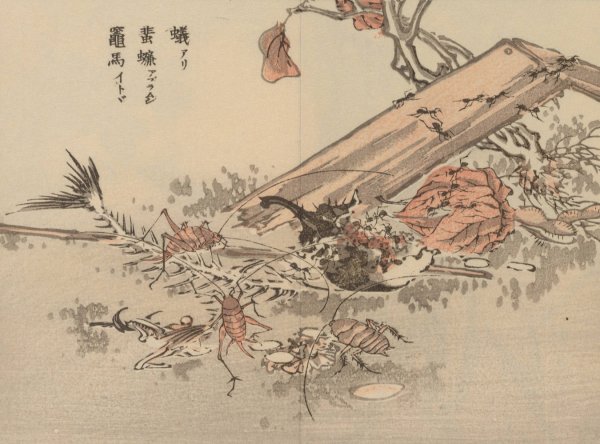 Bairei gafu, Pl.73  by Kono Bairei - Hand-Painted Oil Painting Reproduction