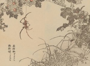 Bairei gafu, Pl.74 by Kono Bairei Oil Painting