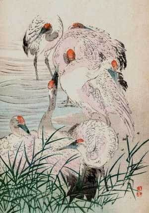 Kacho gafu, Pl.03 by Kotei Fukui Oil Painting