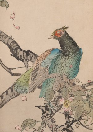 Kacho gafu, Pl.09 by Kotei Fukui Oil Painting