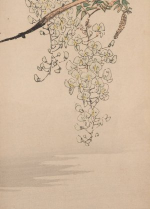 Kacho gafu, Pl.11 by Kotei Fukui Oil Painting