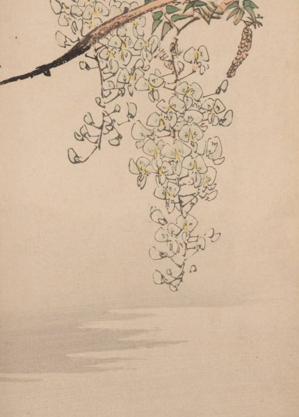 Kacho gafu, Pl.11  by Kotei Fukui - Hand-Painted Oil Painting Reproduction