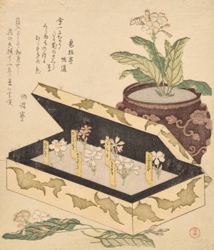 Assortment of primroses in a lacquer box by Kubo Shunman Oil Painting