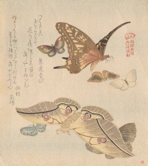 Butterflies and moths, from the series A Flock of Butterflies by Kubo Shunman Oil Painting