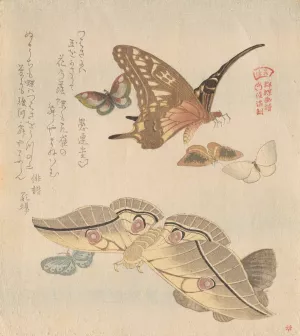 Butterflies and moths, from the series A Flock of Butterflies by Kubo Shunman Oil Painting