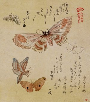 Butterflies and moths, from the series A Flock of Butterflies by Kubo Shunman Oil Painting