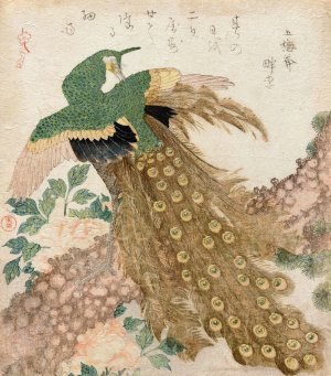 Of Three Pieces (Peacock) by Kubo Shunman Oil Painting