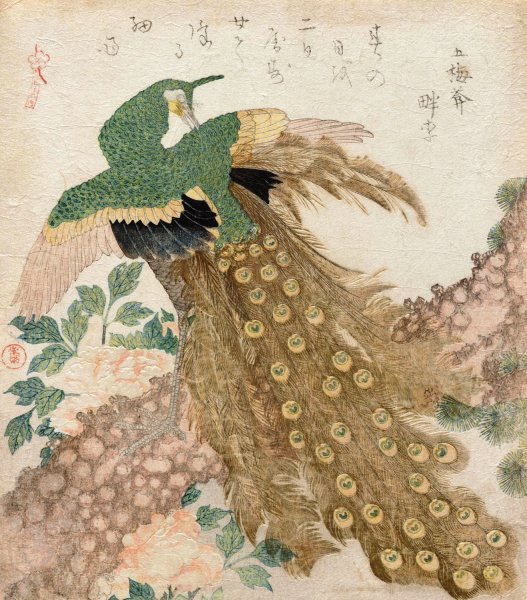 Of Three Pieces (Peacock) by Kubo Shunman - Hand-Painted Oil Painting Reproduction