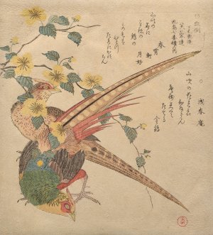 Pair of Chinese pheasants and a branch of yamabuki flowers by Kubo Shunman Oil Painting