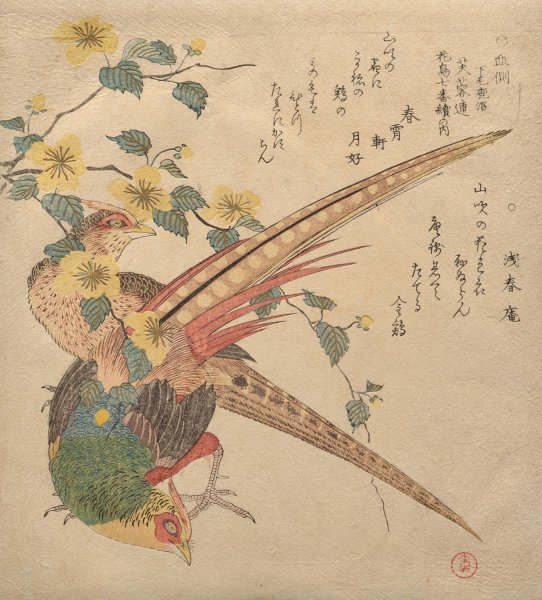 Pair of Chinese pheasants and a branch of yamabuki flowers  by Kubo Shunman - Hand-Painted Oil Painting Reproduction