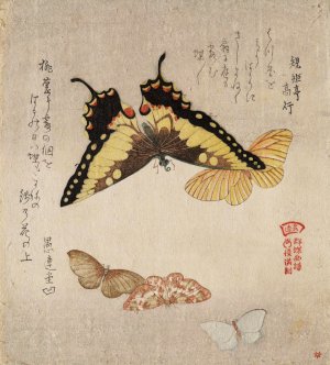 The Painting Manual of Flock of Butterflies by Kubo Shunman Oil Painting