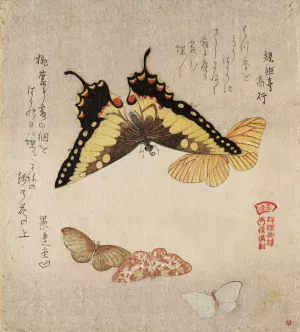 The Painting Manual of Flock of Butterflies by Kubo Shunman Oil Painting