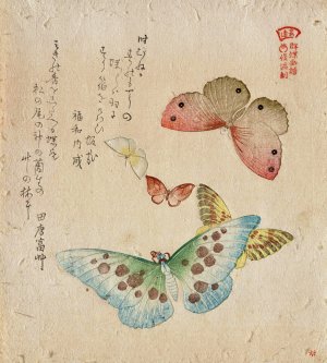 The Painting Manual of Flock of Butterflies by Kubo Shunman Oil Painting