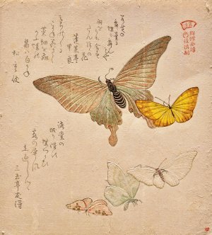 The Painting Manual of Flock of Butterflies by Kubo Shunman Oil Painting