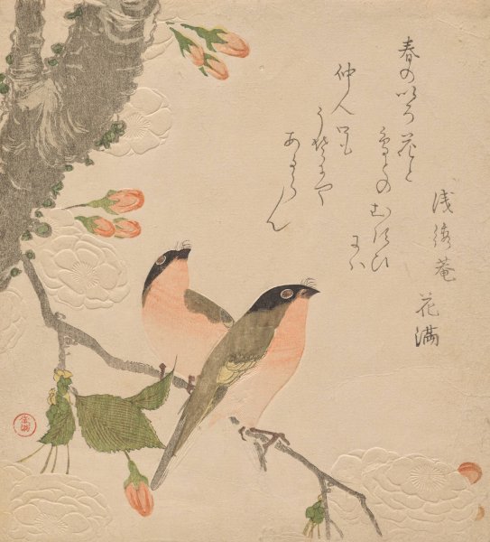 Two Bullfinches on a Double-Petalled Cherry Tree  by Kubo Shunman - Hand-Painted Oil Painting Reproduction