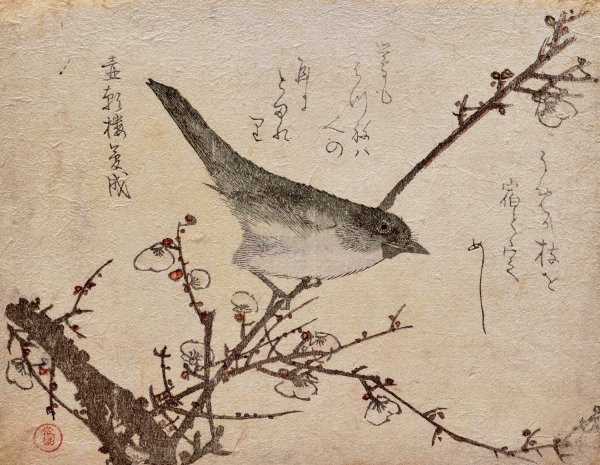 Warbler on plum branch  by Kubo Shunman - Hand-Painted Oil Painting Reproduction