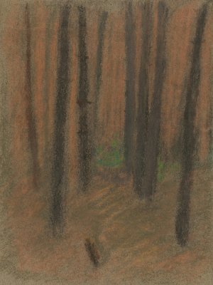 Forest by Ladislav Mednyanszky Oil Painting