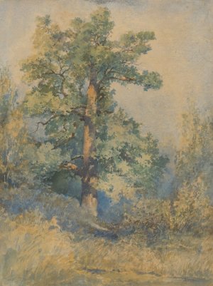 Sketch of a Tree by Ladislav Mednyanszky Oil Painting