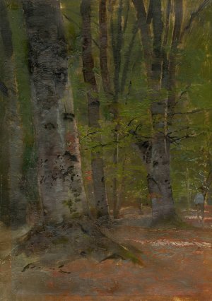 Study of Forest Interior by Ladislav Mednyanszky Oil Painting