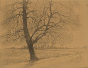 Tree by Ladislav Mednyanszky Oil Painting