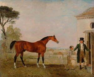 Sultan at the Marquess of Exeters Stud, Burghley House by Lambert Marshall Oil Painting
