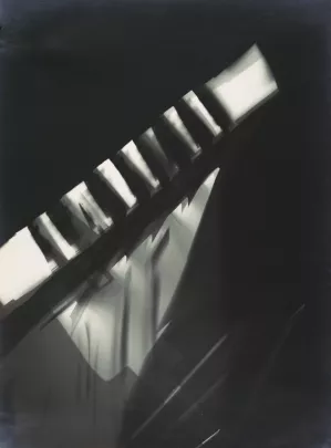 Fotogramm by Laszlo Moholy-Nagy Oil Painting