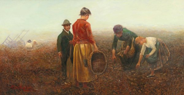 Main Product Photo of The Potato Harvest Painting by Laszlo Pataky Von Sospatak