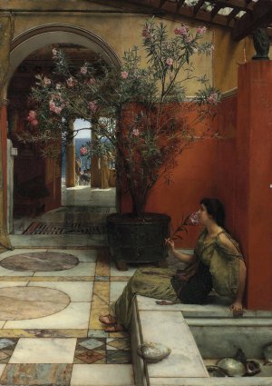 An Oleander by Lawrence Alma-Tadema Oil Painting