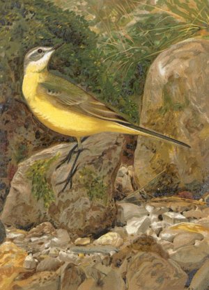 Bergeronnette by Leo-Paul Robert Oil Painting