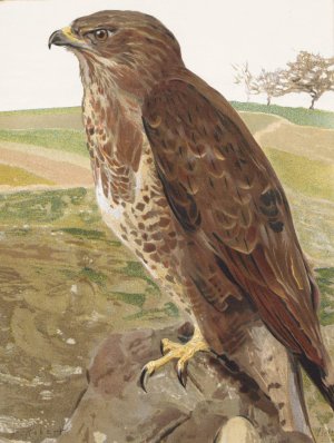 Buse by Leo-Paul Robert Oil Painting