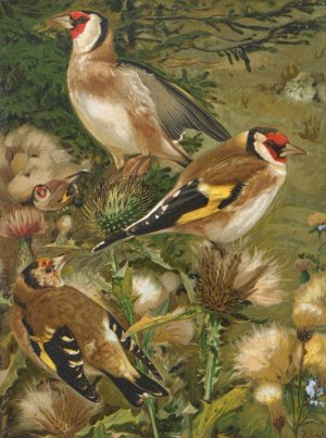 Chardonneret by Leo-Paul Robert Oil Painting