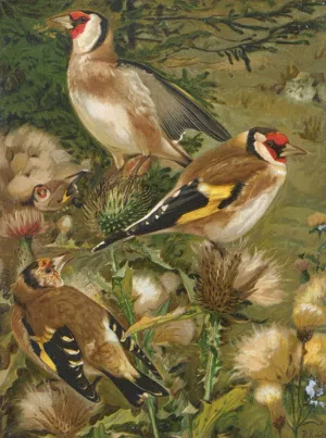 Chardonneret Oil painting by Leo-Paul Robert