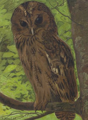 Chat-Huant by Leo-Paul Robert Oil Painting