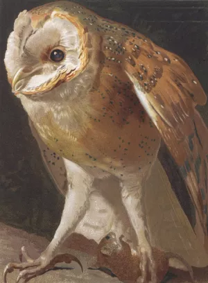 Effraie by Leo-Paul Robert Oil Painting