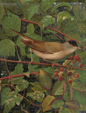 Fauvette a tete noire by Leo-Paul Robert Oil Painting