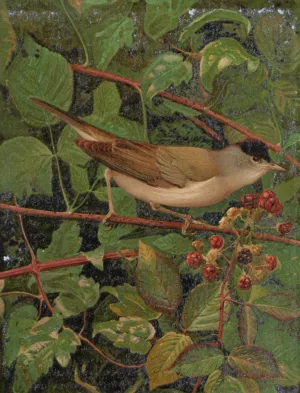 Fauvette a tete noire by Leo-Paul Robert Oil Painting