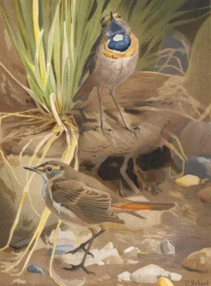 Gorge Bleue by Leo-Paul Robert Oil Painting