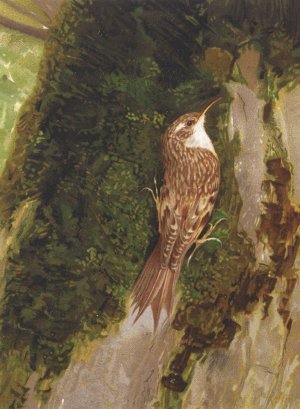 Grimpereau by Leo-Paul Robert Oil Painting