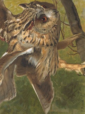 Hibou by Leo-Paul Robert Oil Painting