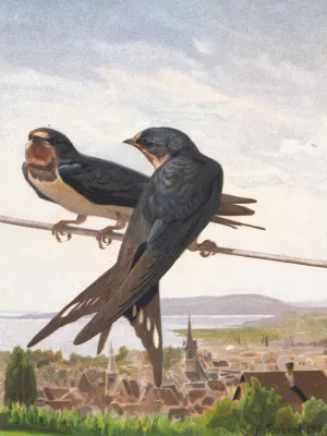 Hirondelle de Cheminee by Leo-Paul Robert Oil Painting