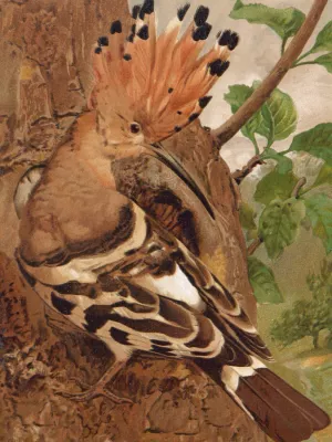 Huppe by Leo-Paul Robert Oil Painting